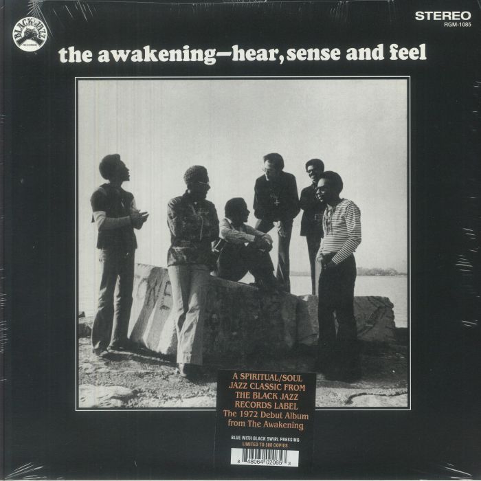 Hear Sense & Feel - Blue & Black Swirl Vinyl LP vinyl record cover
