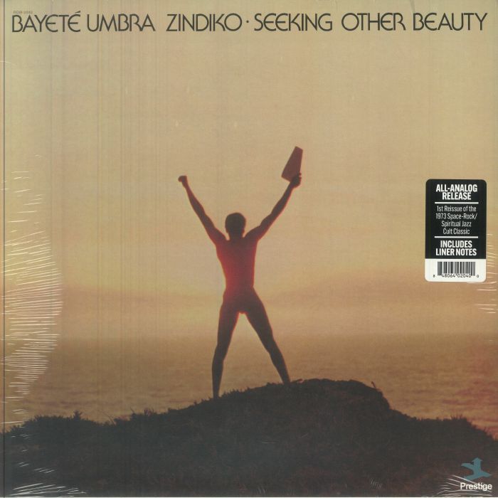 Seeking Other Beauty - Vinyl LP vinyl record cover