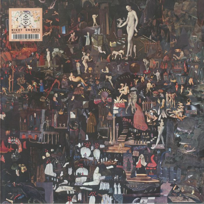 Night Gnomes - Vinyl LP vinyl record cover