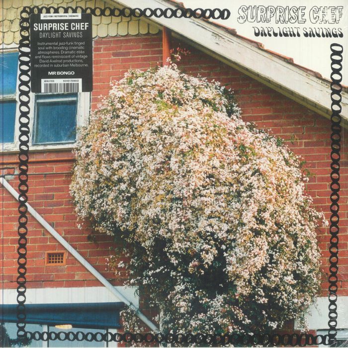 Daylight Savings - Vinyl LP vinyl record cover