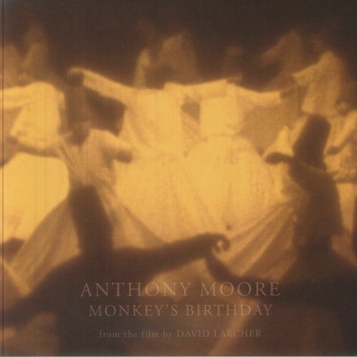 Monkey's Birthday - Vinyl LP vinyl record cover