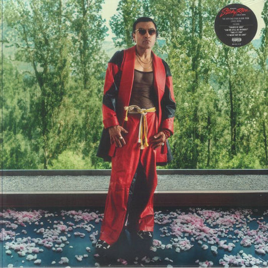 Goodbye Sticky Rice - Vinyl LP vinyl record cover