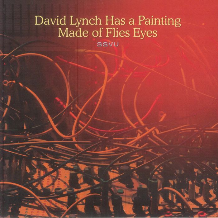 David Lynch Has A Painting Made Of Flies Eyes - Vinyl Single vinyl record cover