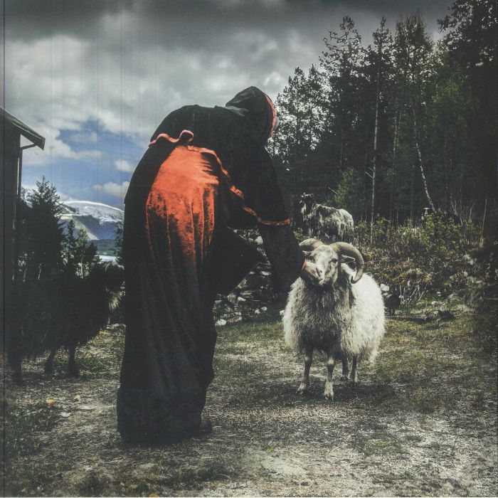 Hulders Ritual - Vinyl LP vinyl record cover