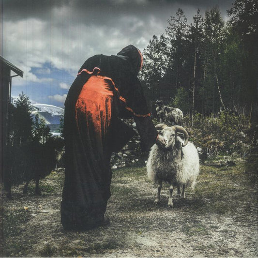 Hulders Ritual - Vinyl LP vinyl record cover