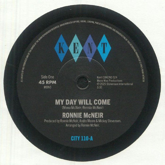 My Day Will Come - Vinyl Single vinyl record cover