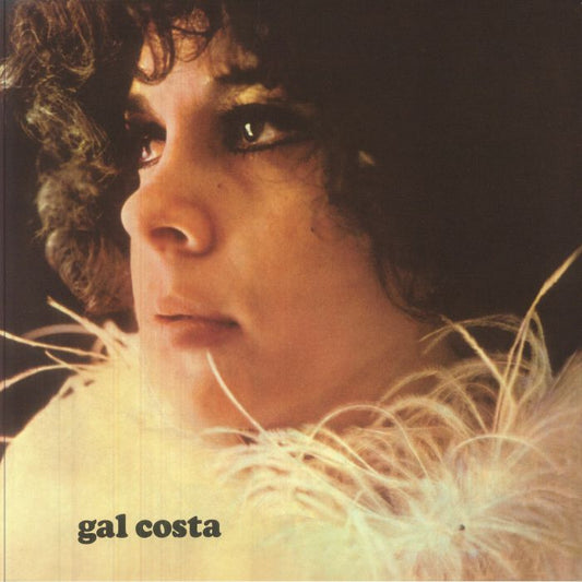 Gal Costa - Vinyl LP vinyl record cover