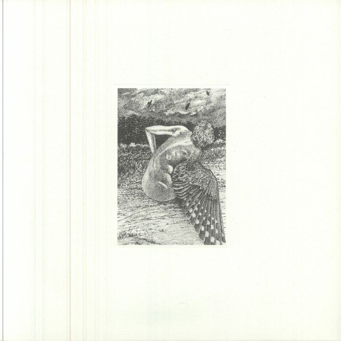 For The Birds - Limited Edition Vinyl LP vinyl record cover