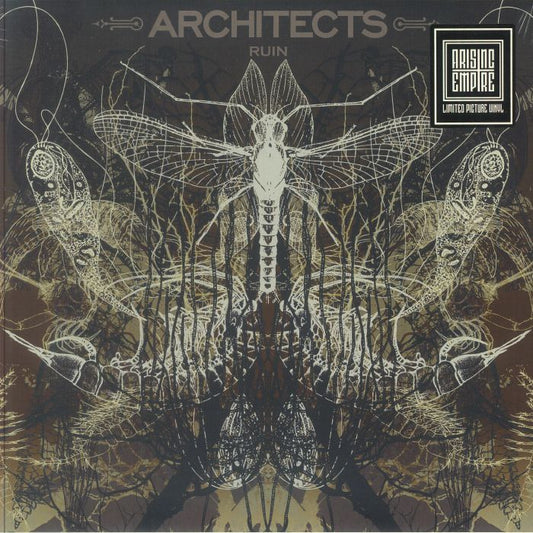 Ruin - Limited Edition Picture Disc Vinyl LP vinyl record cover