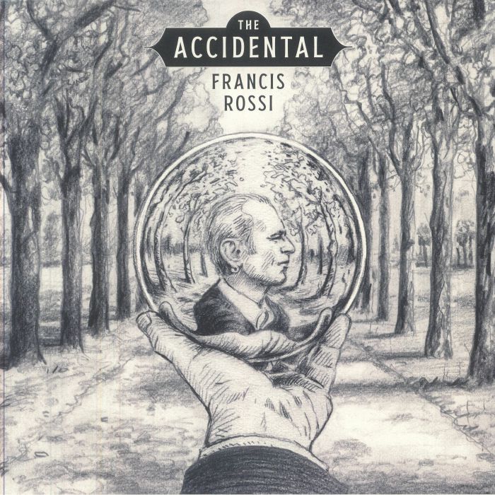 The Accidental - Vinyl LP vinyl record cover