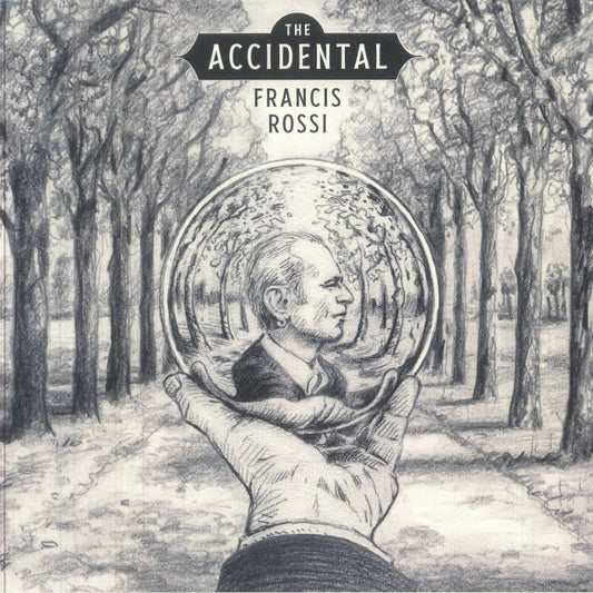 The Accidental - Vinyl LP vinyl record cover