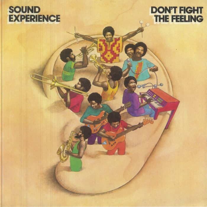 Don't Fight The Feeling - 2xLP vinyl record cover