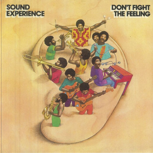 Don't Fight The Feeling - 2xLP vinyl record cover