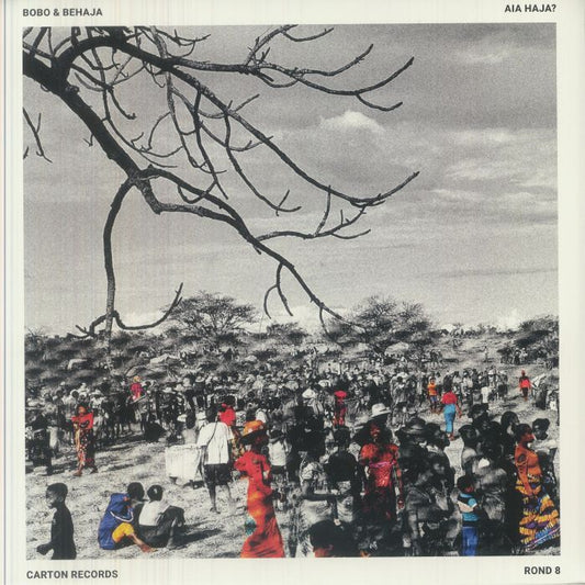 Aia Haja? - Vinyl LP vinyl record cover