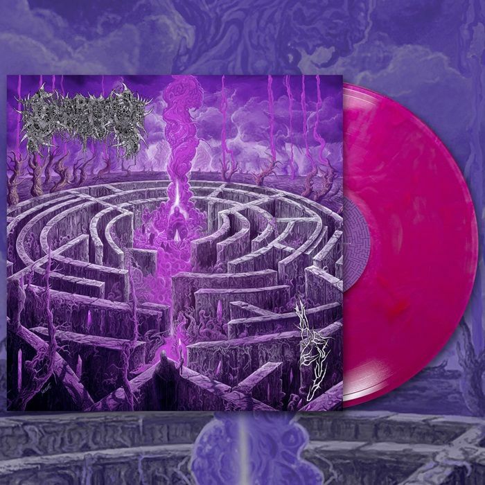 Maze Envy - Pink Vinyl LP vinyl record cover