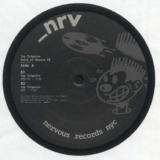 Voice Of Reason EP - Vinyl EP vinyl record cover