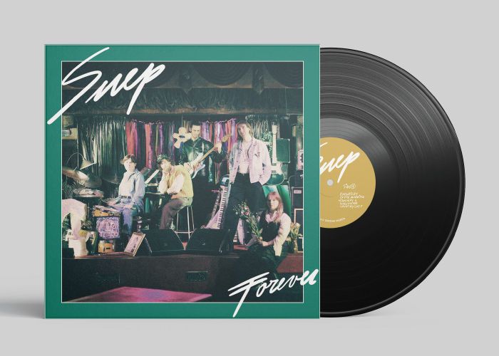 Forever - Limited Edition Vinyl LP vinyl record cover