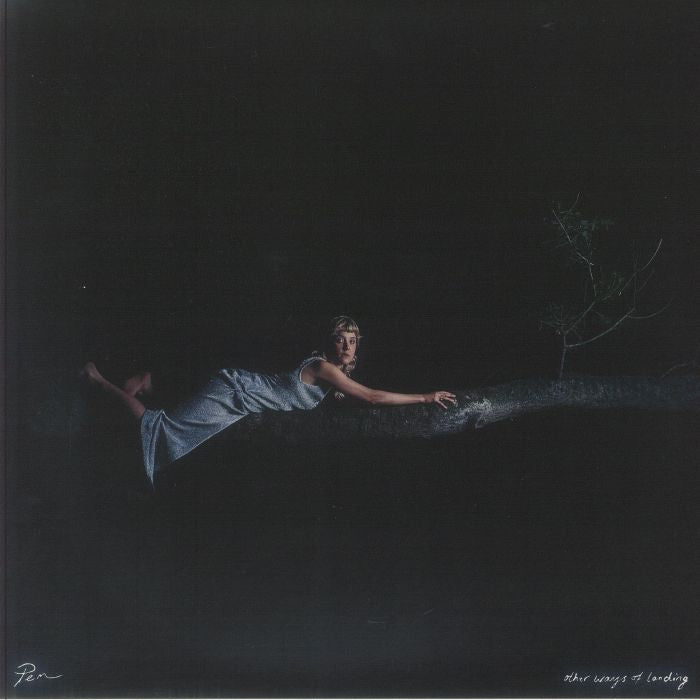 Other Ways Of Landing - Vinyl EP vinyl record cover