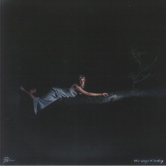 Other Ways Of Landing - Vinyl EP vinyl record cover