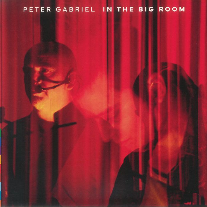 In The Big Room - 2xLP vinyl record cover