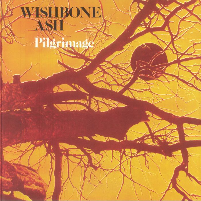 Pilgrimage - Vinyl LP vinyl record cover