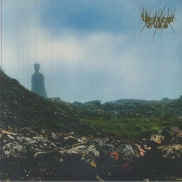 Confusion Gate - 2xLP vinyl record cover