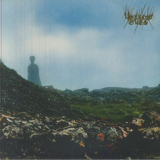 Confusion Gate - 2xLP vinyl record cover
