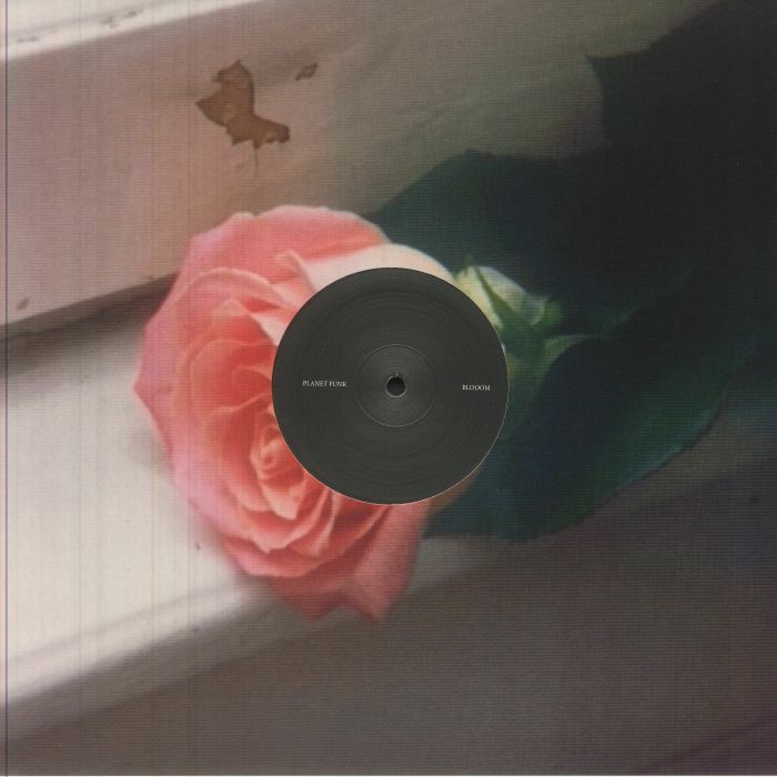 Blooom - Vinyl LP vinyl record cover