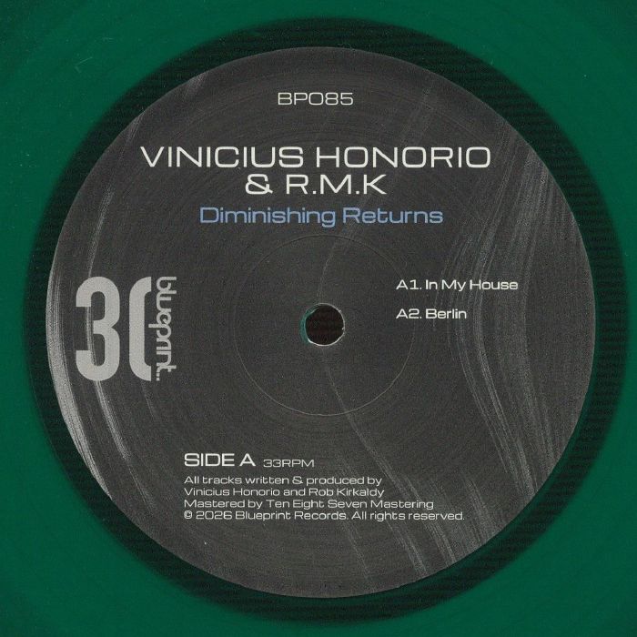 Diminishing Returns - Vinyl EP vinyl record cover