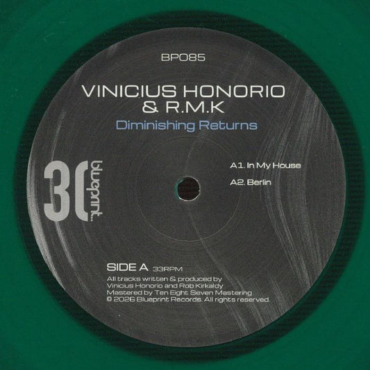 Diminishing Returns - Vinyl EP vinyl record cover