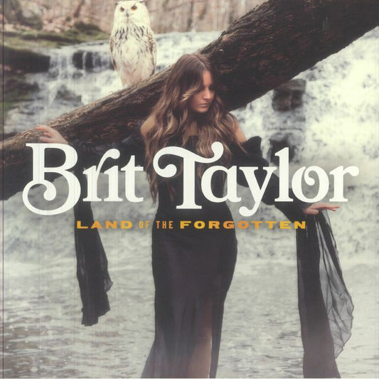 Land Of The Forgotten - Vinyl LP vinyl record cover