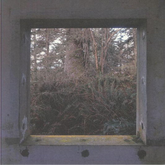 Sculptures - Vinyl LP vinyl record cover