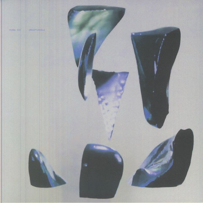 Uncapturable - Vinyl LP vinyl record cover