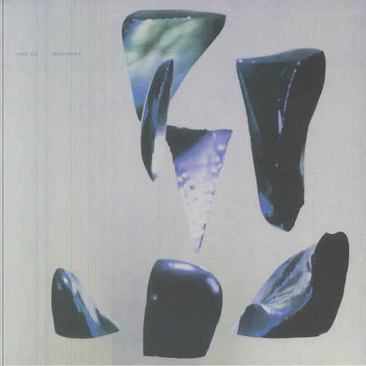 Uncapturable - Vinyl LP vinyl record cover