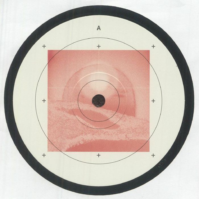 Divine Assignment - Vinyl Single vinyl record cover