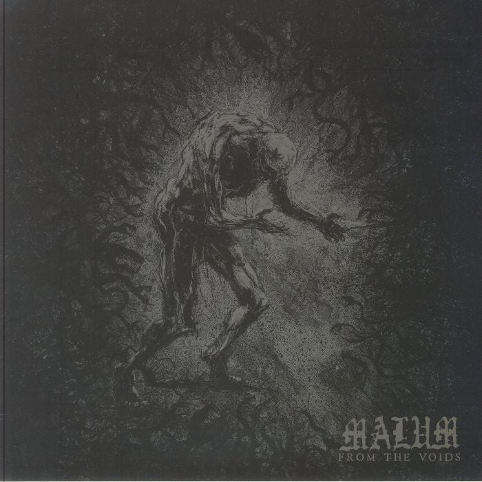 From The Voids - Vinyl LP vinyl record cover