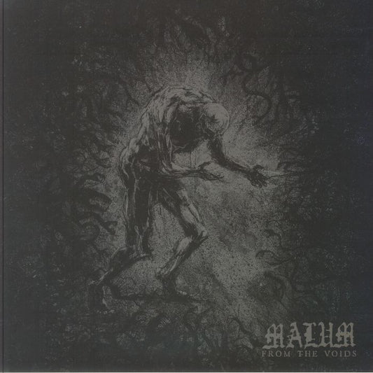 From The Voids - Vinyl LP vinyl record cover