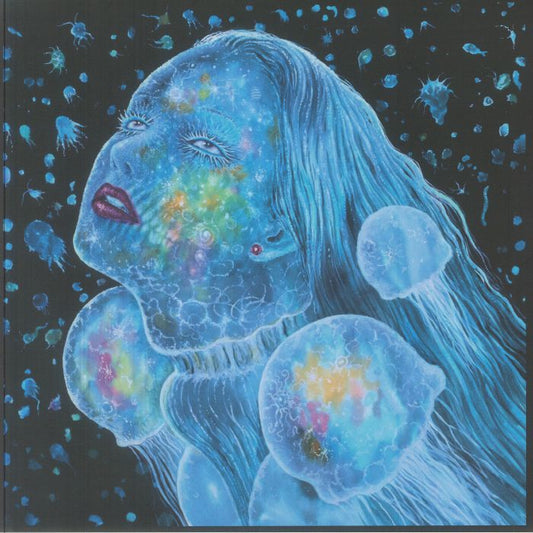 Dos Moons (Full Moon) - Vinyl LP vinyl record cover