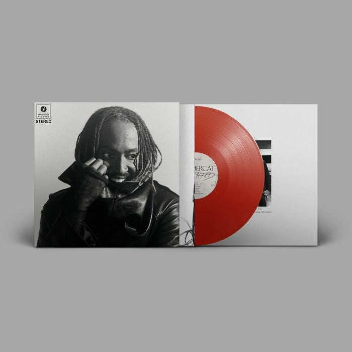 Distracted - Red Vinyl LP vinyl record cover