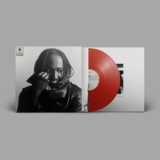 Distracted - Red Vinyl LP vinyl record cover