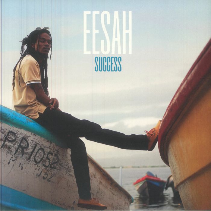 Success - Vinyl LP vinyl record cover