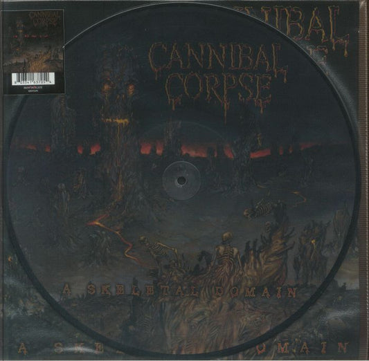 A Skeletal Domain - Picture Disc Vinyl LP vinyl record cover