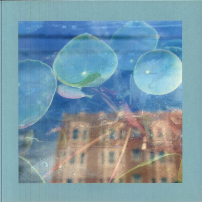 Acknowledge Kindness - Limited Edition Fog Glass Vinyl LP vinyl record cover