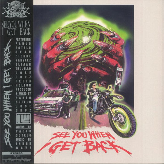 See You When I Get Back - Vinyl LP vinyl record cover