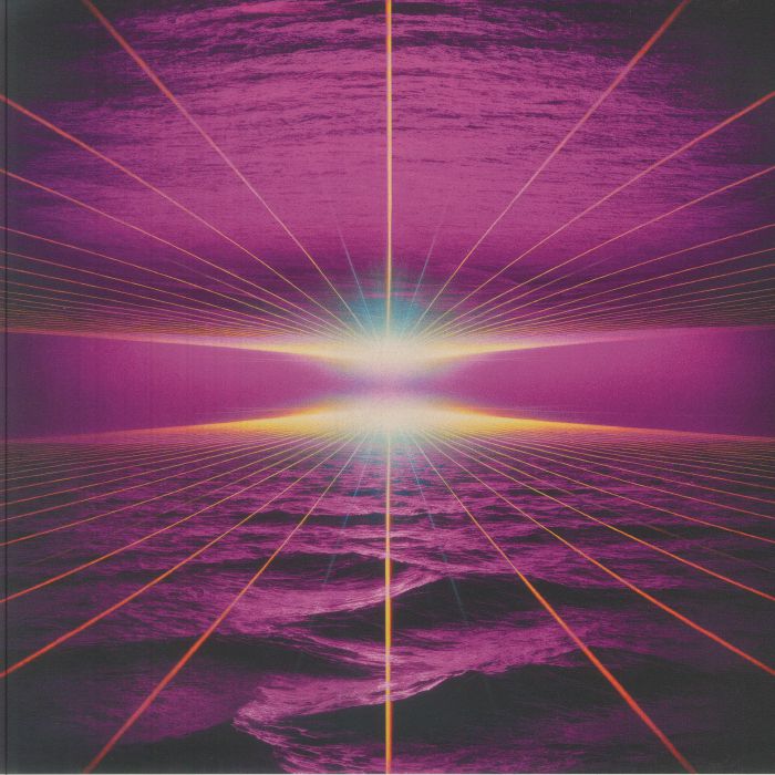 Night Language - Vinyl LP vinyl record cover