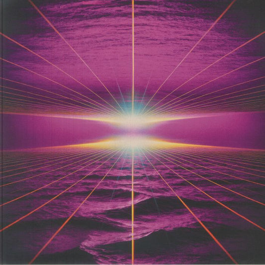 Night Language - Vinyl LP vinyl record cover