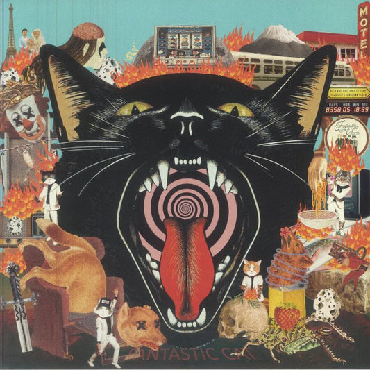 Cat Out Of Hell - Vinyl LP vinyl record cover