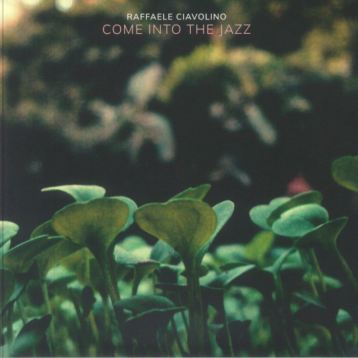 Come Into The Jazz - 2xLP vinyl record cover