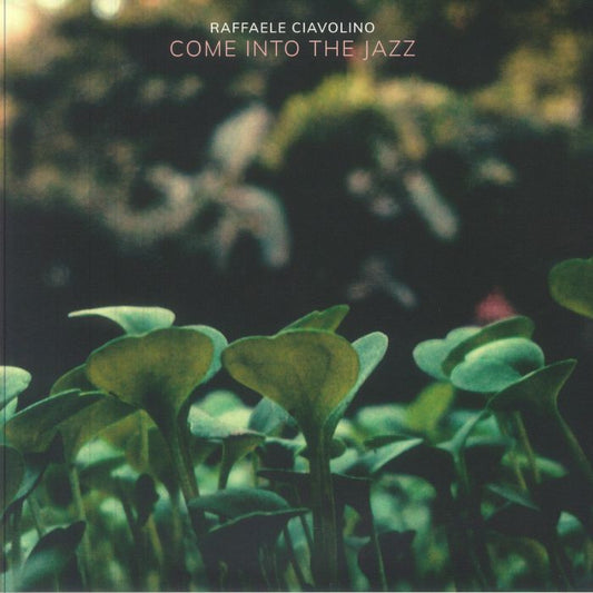 Come Into The Jazz - 2xLP vinyl record cover