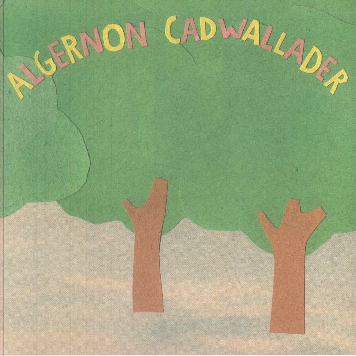 Some Kind Of Cadwallader - Limited Edition Black Ice Vinyl LP vinyl record cover